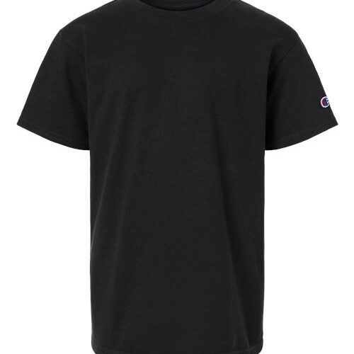 Champion CH1081